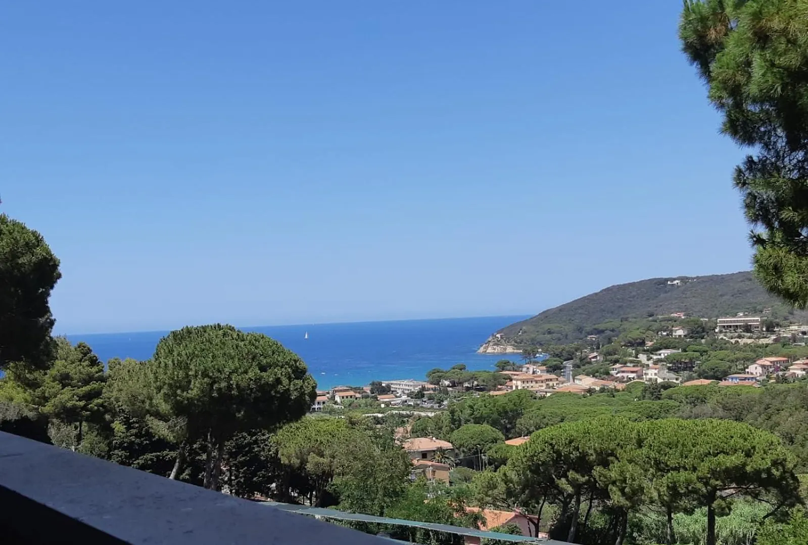 Residence Napoleon - Mv Procchio